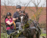 2POSIEUX 0429